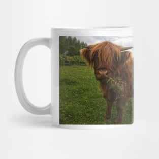 Scottish Highland Cattle Calf 2051 Mug